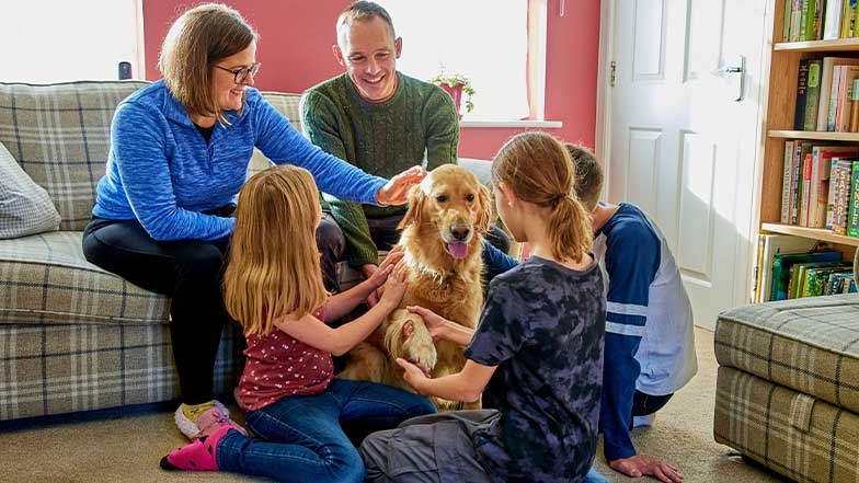 A buddy dog in a living room with their family around them.