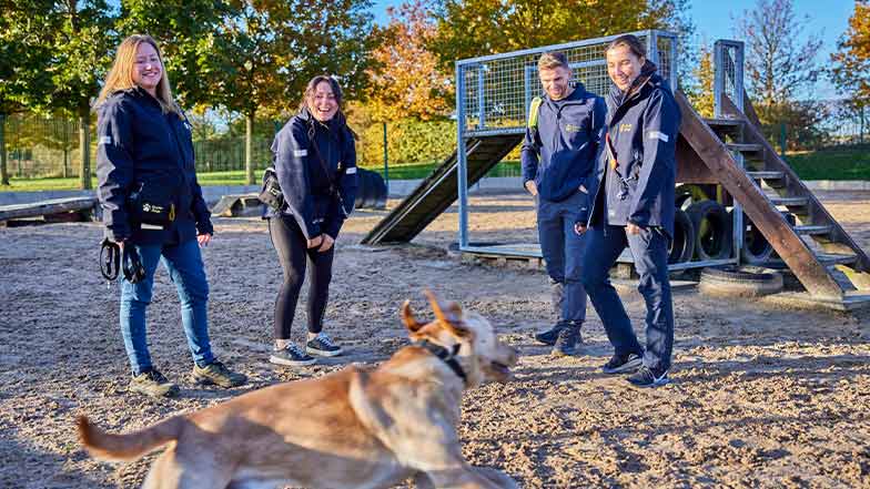 Staff stand outside as a dog plays around them.