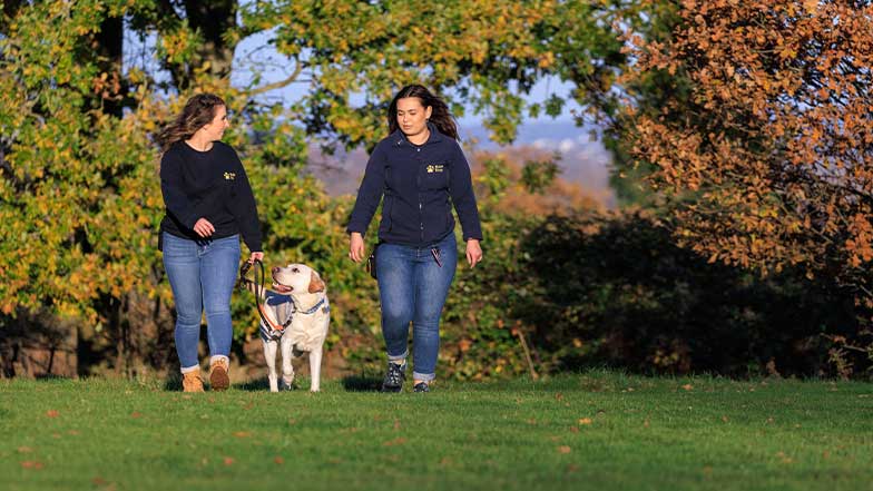 Two Guide Dogs employees in a park with a Guide Dog