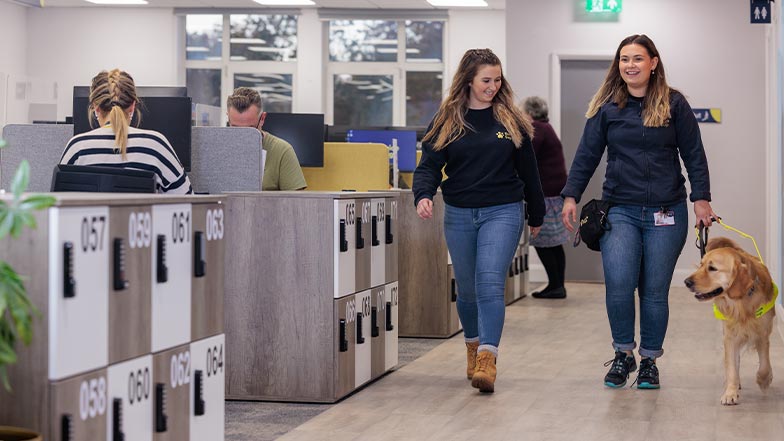 Two Guide Dogs employees walk through an office with a guide dog