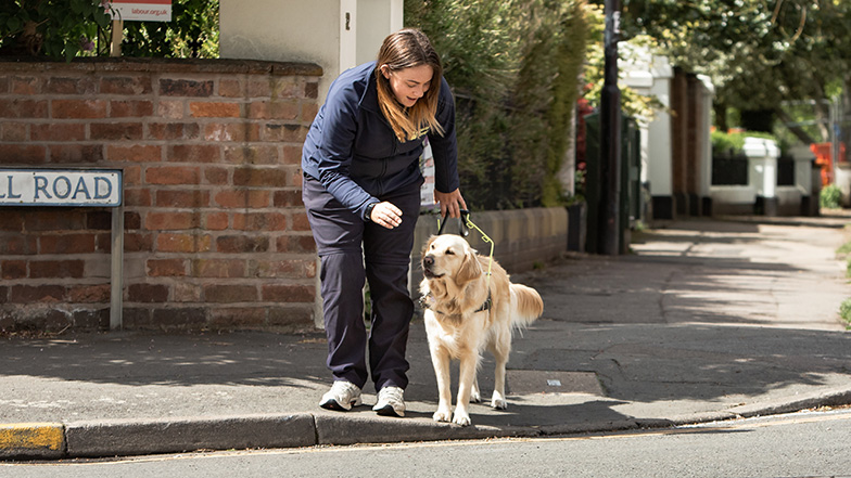 Guide Dog Trainer rewarding a guide dog for stopping by a road