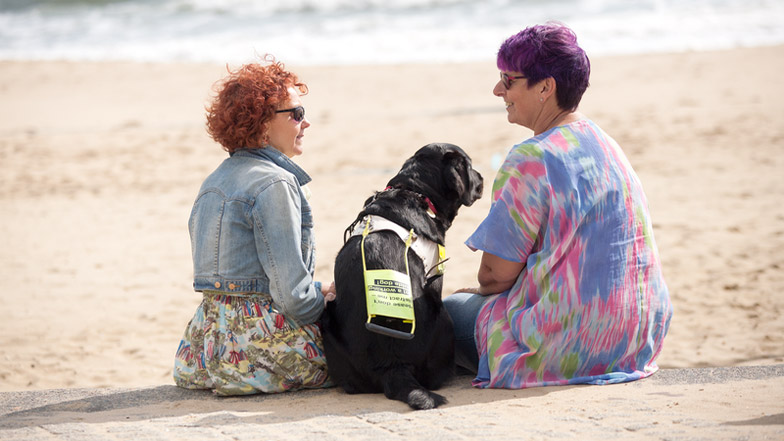 People sat on beach with Guide Dog