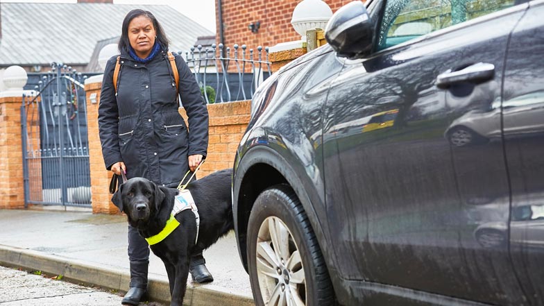 Woman and her guide dog avoiding pavement parking