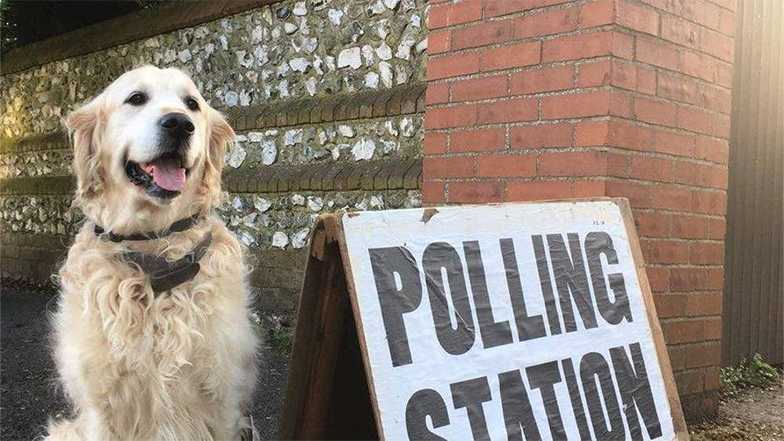 A dog sits before a sign that reads polling station