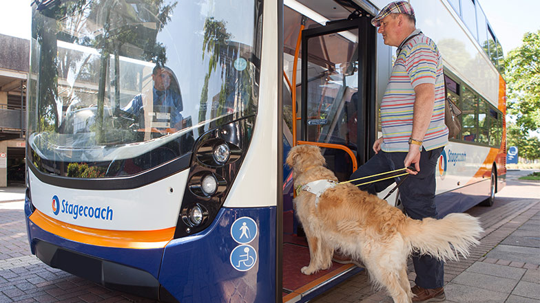Person with sight loss boards a bus with guide dog