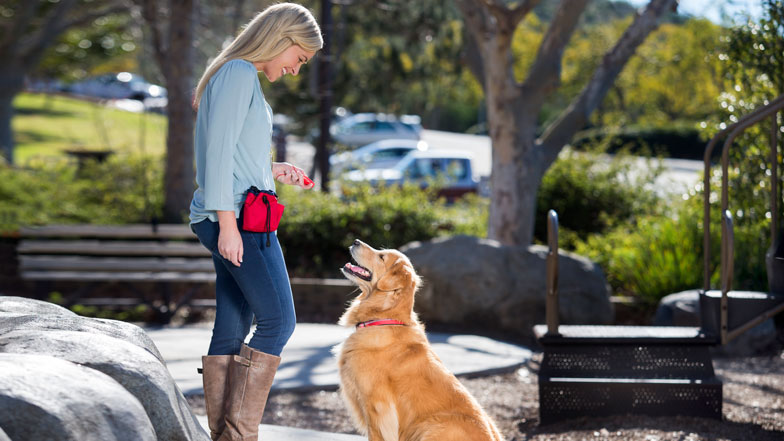 A woman smiles at her dog. The dog is sat looking up at the woman