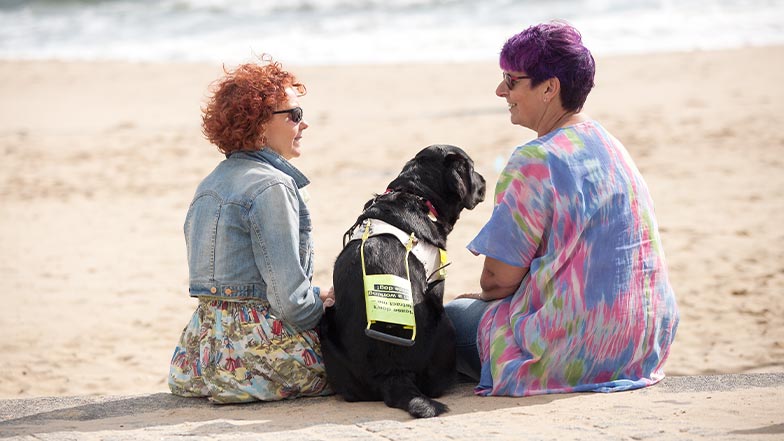 A guide dog sits on a beach, looking toward the water, between two guide dog owners.