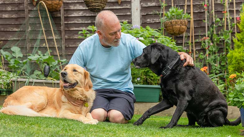 A guide dog owner sits with his guide dog and retired guide dog in their garden.