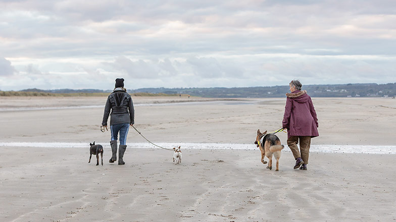 Two friends walk together along the beach with their dogs.