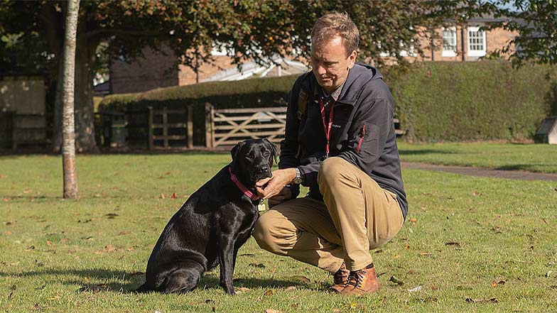 A fosterer sits in a sunny park with a guide dog in training.
