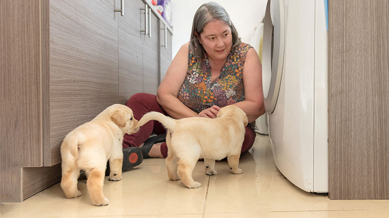 A volunteer Puppy Raiser sits next to a washing machine as two puppies stand beside her.