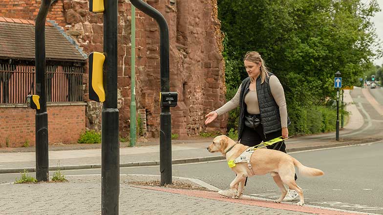 A guide dog owner approaches a crossing box with her guide dog.