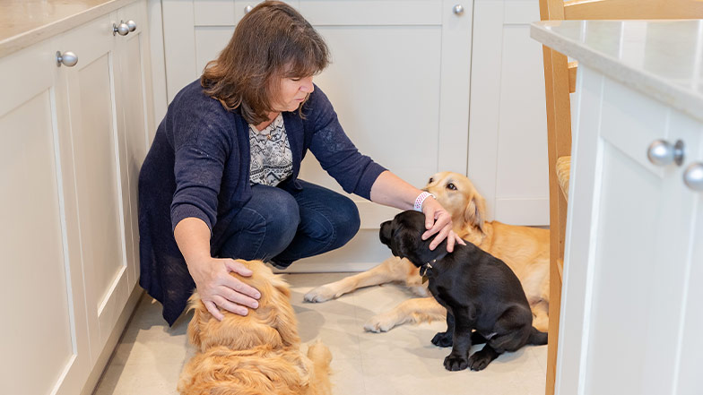 A volunteer puppy raiser pets her two adult dogs and a puppy.