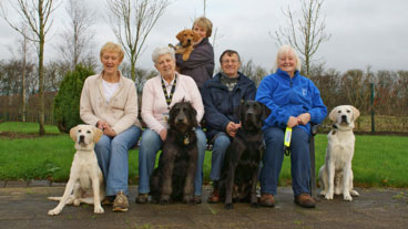 A group of volunteers sitting on a bench with trainee guide dogs