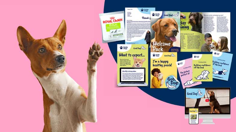A pet dog with the Good Dog! subscription resources