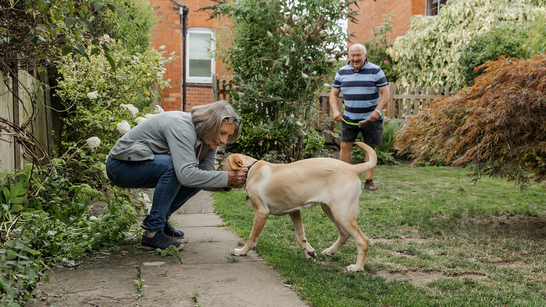 Volunteer puppy raisers Susie and Peter play with puppy Sally in their garden 