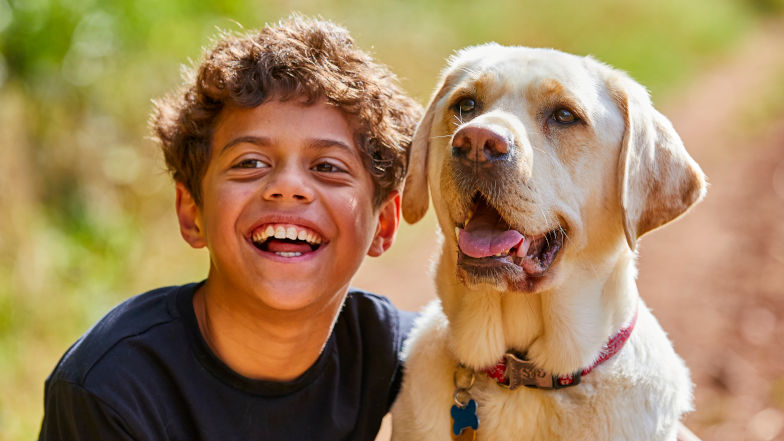 Guide Dogs UK Charity For The Blind And Partially Sighted