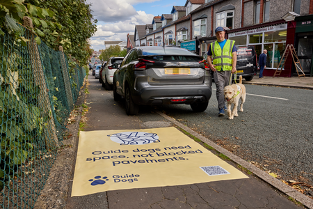 Guide dog owner wears high visibility jacket and walks with guide dog on hardness into the road avoiding a parked car on pavement