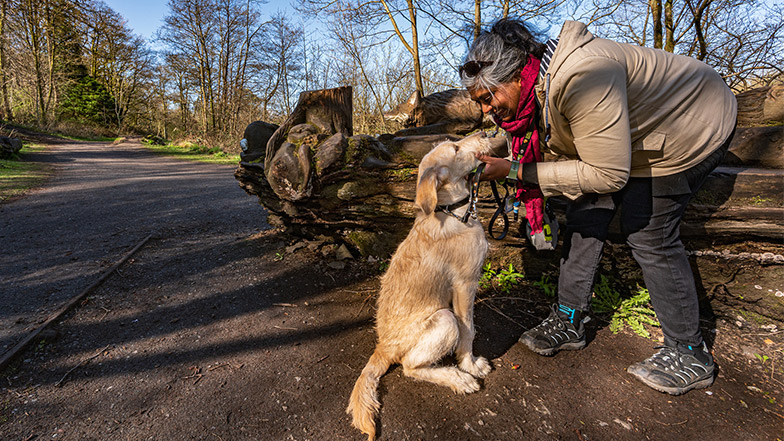 Puppy Raiser | Volunteer | Guide Dogs UK