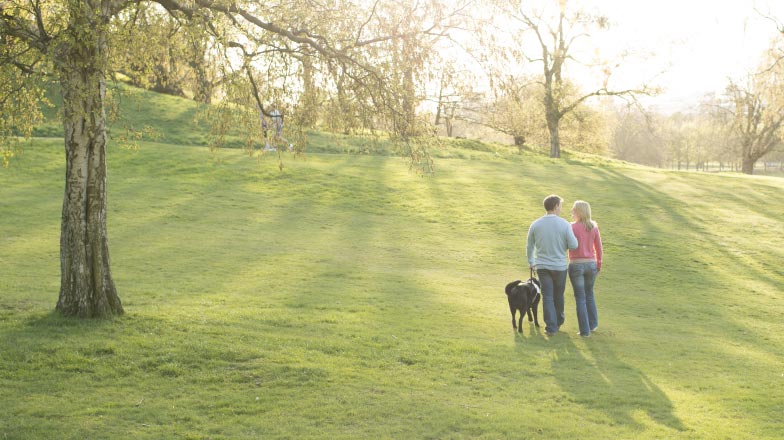 A couple walking together with a guide dog in a park