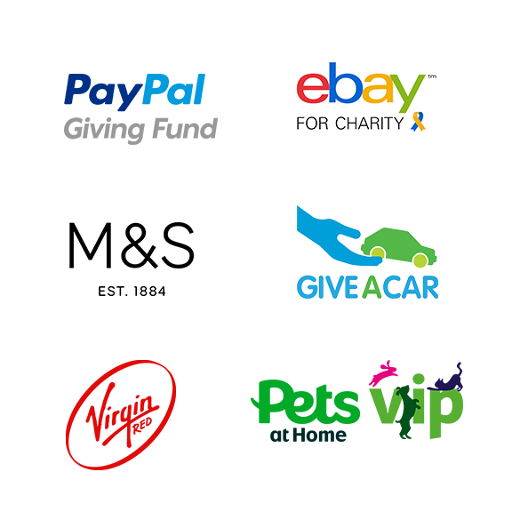 Corporate partner affinity logos on a white background including Pets at Home, M&S, Virgin Red, Giveacar, Paypal and Ebay for Charity