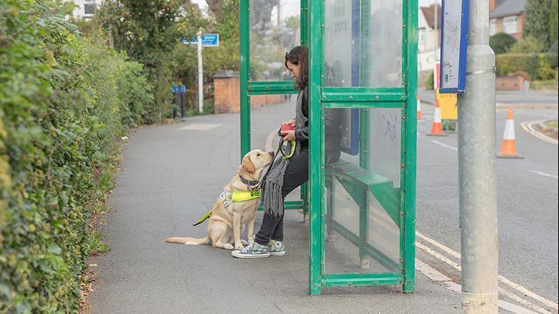 Guide dog owner Alice and guide dog Dora at the bus stop