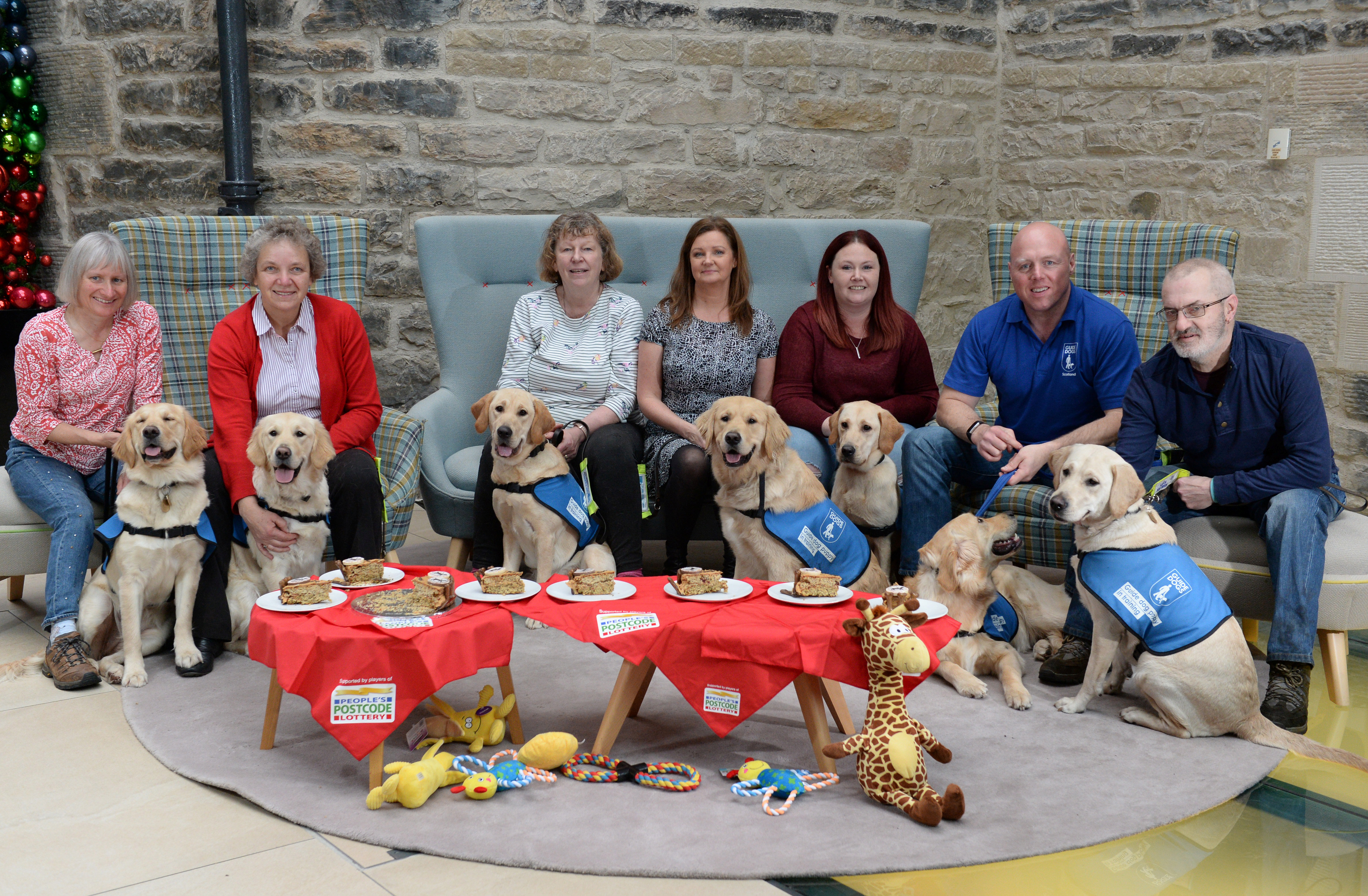 Seven of the People's Postcode Lottery player-funded puppies with their puppy walkers at their first birthday party