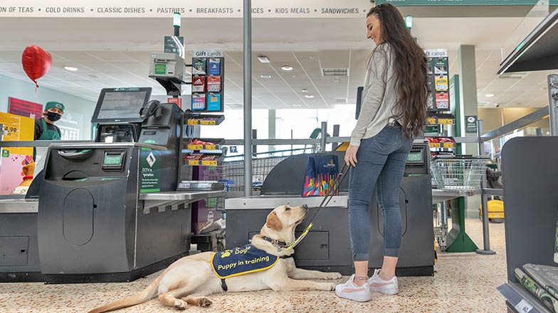 A puppy raiser standing in a shop with her yellow Labrador guide dog puppy in training lying down in front of her