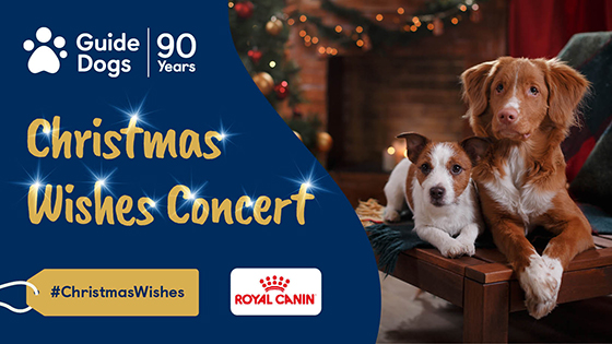 Christmas Wishes image showing two dogs laying down with Christmas decorations in the background and the Royal Canin logo
