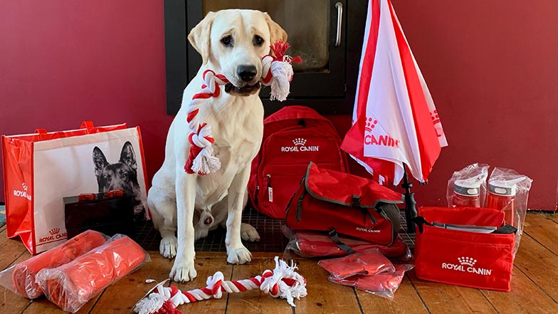 Royal Canin supported guide dog Robin sits surrounded by lots of Royal Canin goodies such as toys, bags and an umbrella