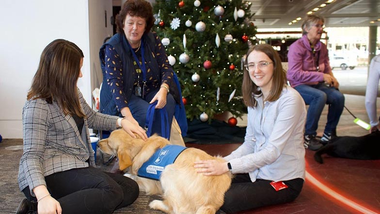 Vodaphone staff sit with a volunteer puppy raiser and a guide dog puppy