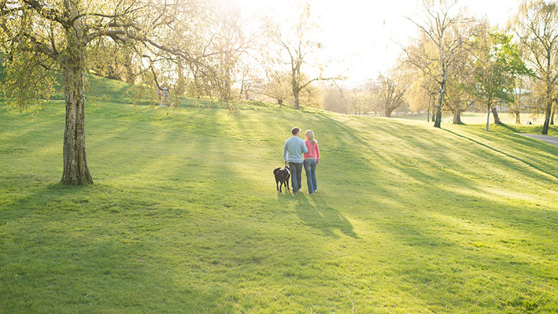 2 people and guide dog walking in a park