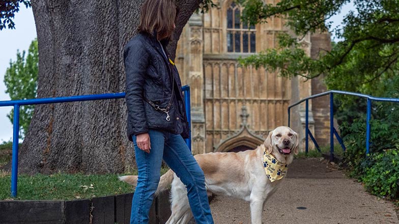 A woman walking a dog that is wearing a Guide Dogs branded bandana