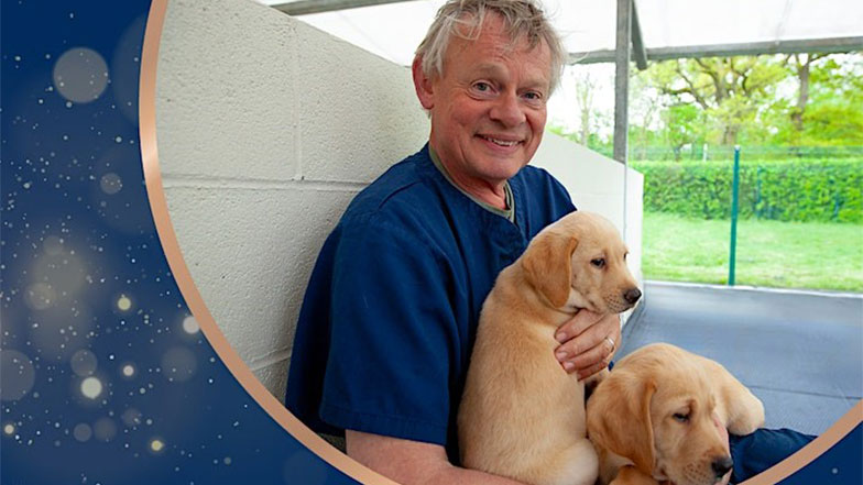 Martin Clunes sitting with two golden Labrador Guide Dog puppies