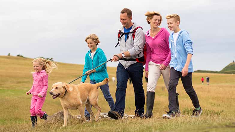 A family are on a country dog walk