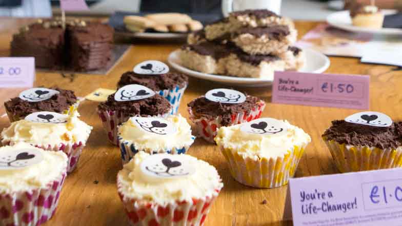 Dog themed cupcakes are laid out across a table. They are accompanied by Guide Dogs branded price cards. 