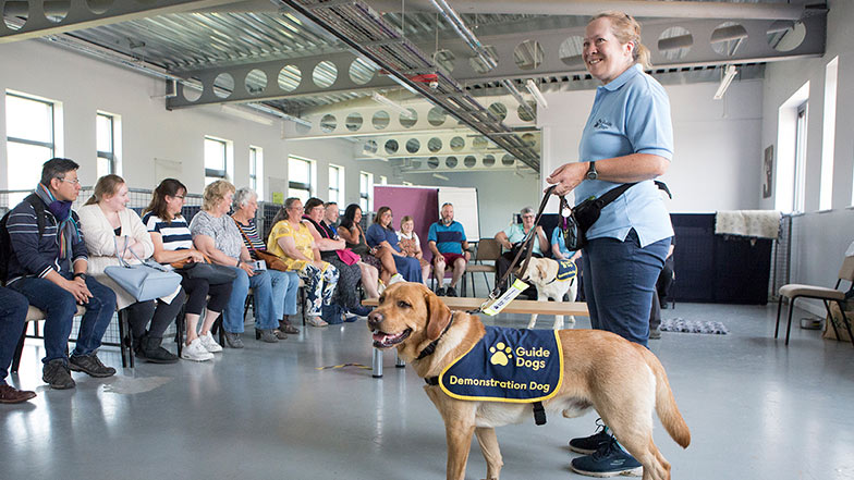  A staff member holds the lead of a Demonstration Dog whilst people sit on chairs and watch.