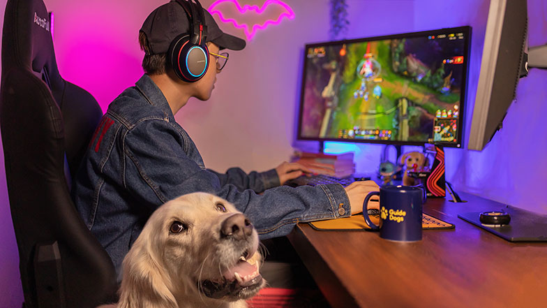 A young man wearing headphones playing a computer game. In the foreground a Golden Retriever looks at the camera