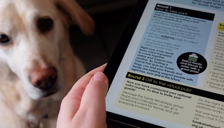 Guide Dog looking at owner reading brochure