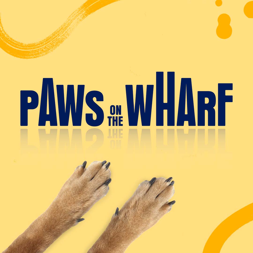 Yellow graphic with Paws on the Wharf logo in the centre and a pair of dog paws reaching up to it from the bottom