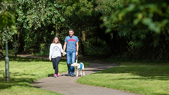 Dog Exercisers walking a guide dog in a park