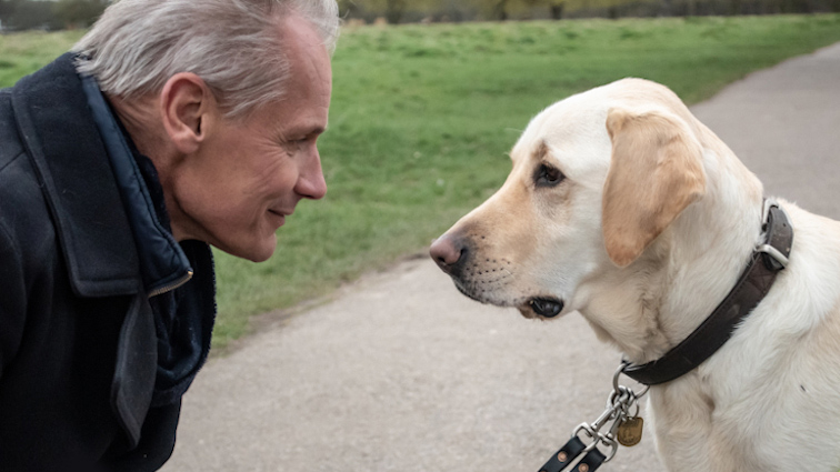 a man looking at its guide dog