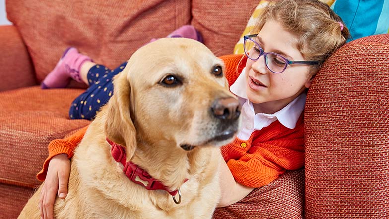 Young girl Josie lies on the sofa at home with her yellow Labrador cross golden retriever sitting in front of her.