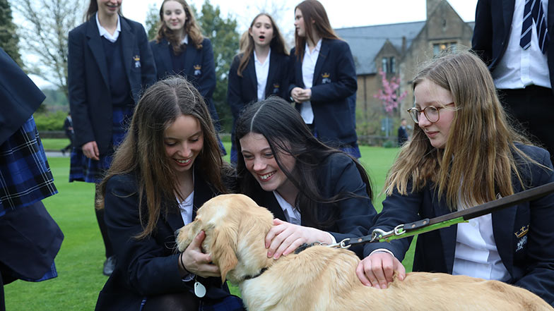 School children stroke a guide dog.