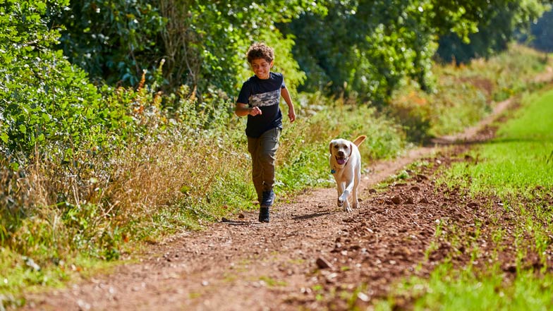 Buddy dog Sam and Jago run together happily outdoors 