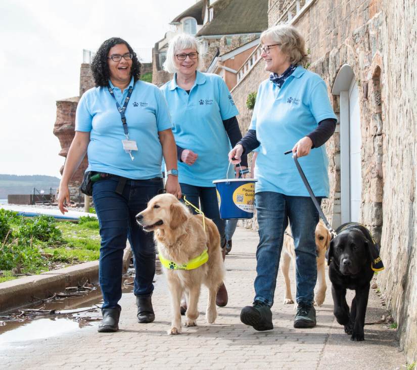 Group of volunteers walking guide dogs