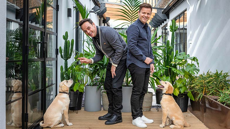 Ant and Dec with their puppy partners