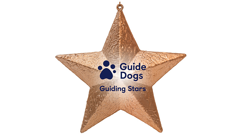 Sparkling Guiding Stars star with Guide Dogs logo