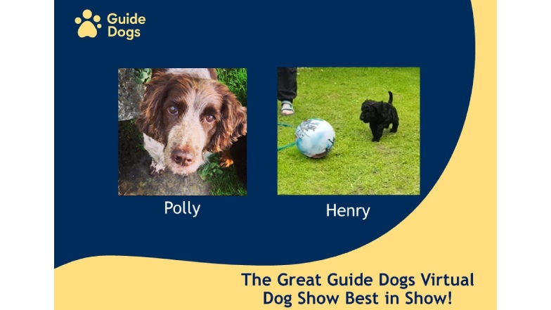 Winners of The Great Guide Dogs Virtual Dog Show, Polly and Henry