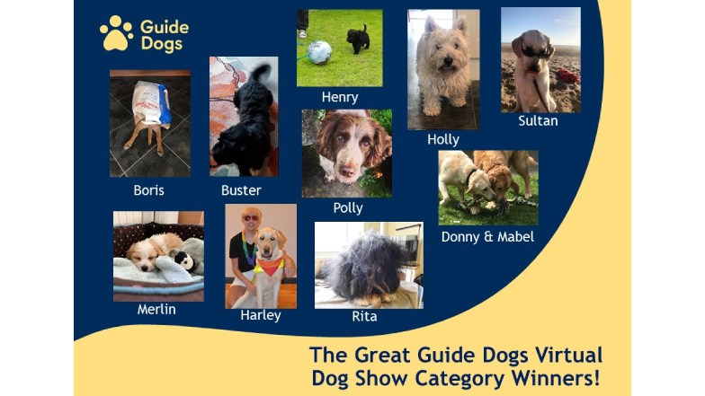 All the winning dogs from the Great Guide Dogs Virtual Dog Show